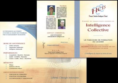pochetteA4-intelligencecollective